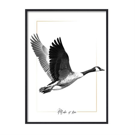 Poster 30x40 B&amp;W Flying goose