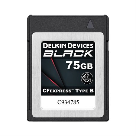 Delkin CFexpress Black 75GB