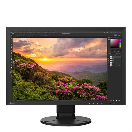 Eizo ColorEdge 24"CS2400S