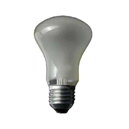 Elinchrom inställningslampa 196V/100W E27