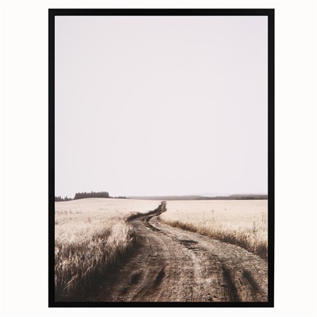 Poster 30x40 Nature Road
