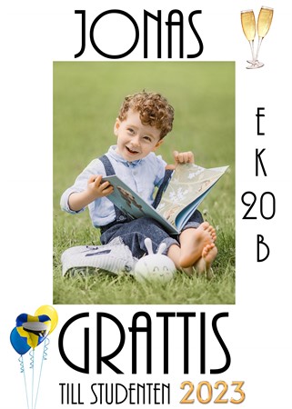 Studentplakat 50x70 cm Design 1