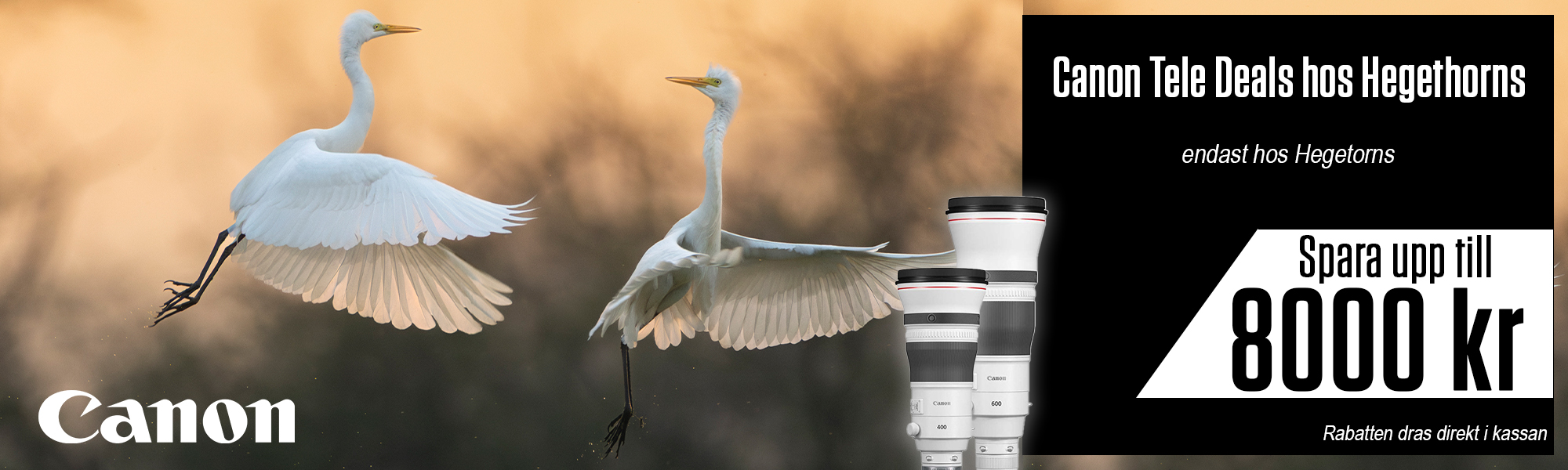 Annons:CANTEL canon_teledeals_banner.jpg
