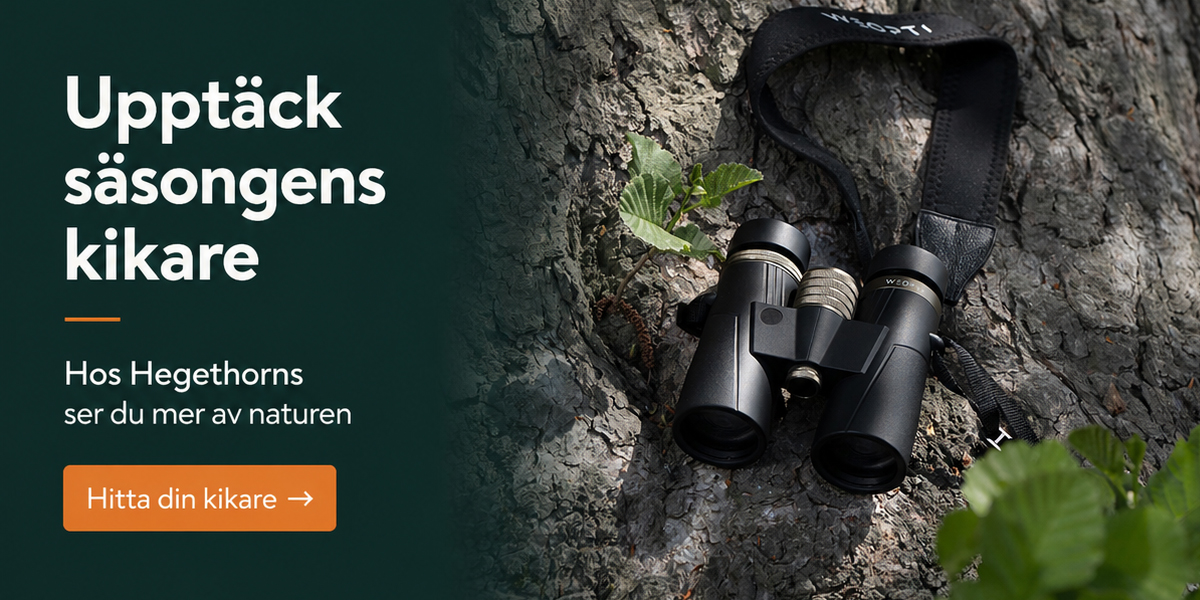 Annons:KIKARE kikare_banner_startsidan_sommar.jpg